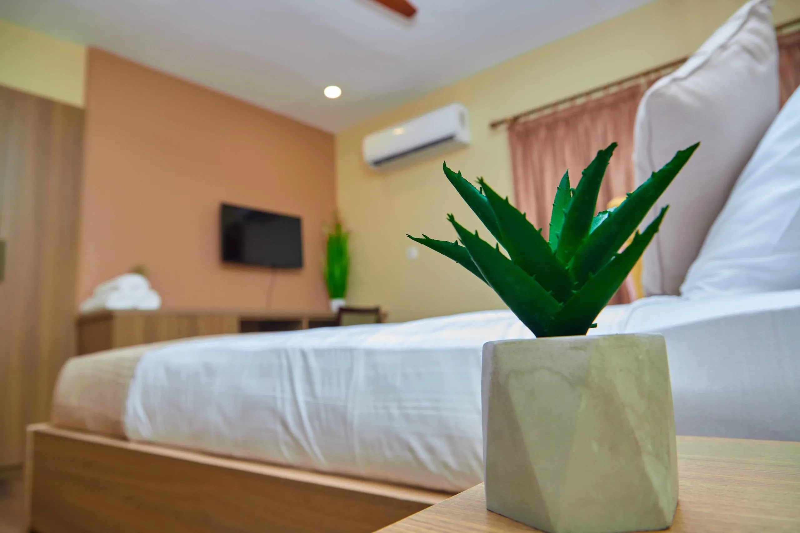 Standard Room Mini - Image 1